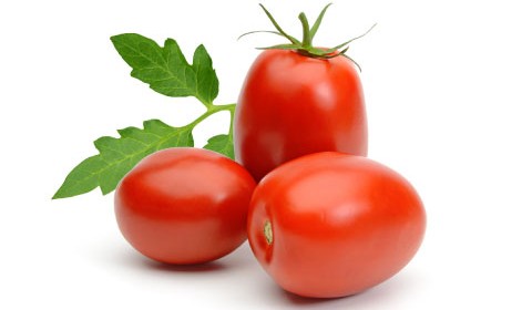 Tomato